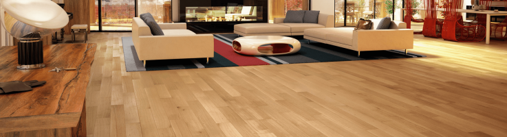 Adelaide Professional Floors