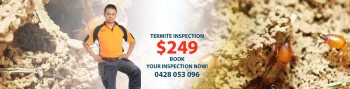 Termite Expert