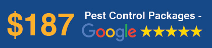 Masters Pest Control Sydney