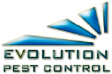 EVOLUTION PEST CONTROL