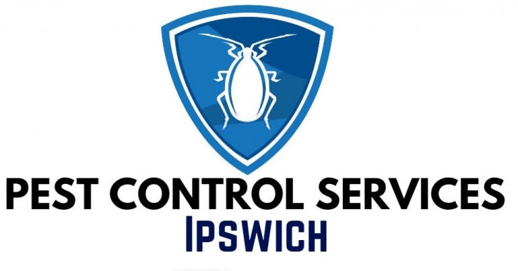 Pest Control Ipswich