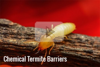 Tony's Termite And Pest Control