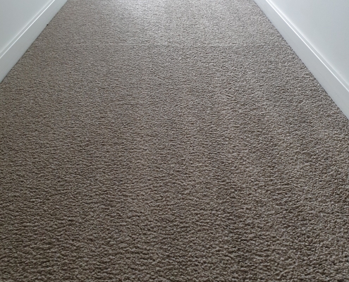 EVOLUTION CARPET CLEANING PEST CONTROL