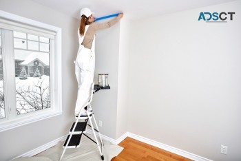 Ozi Quality Painting Services