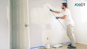 Ozi Quality Painting Services