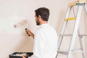 Ozi Quality Painting Services