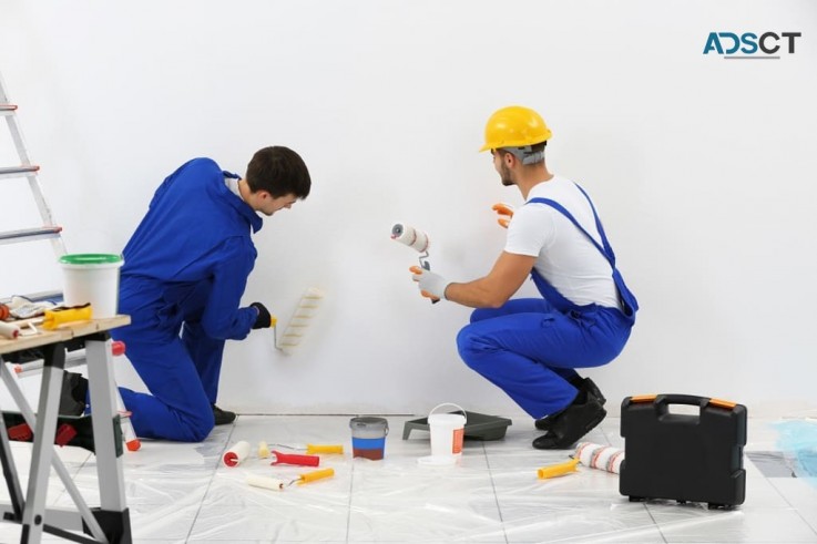 Ozi Quality Painting Services