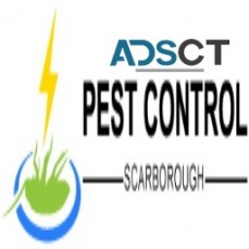 Pest Control Scarborough