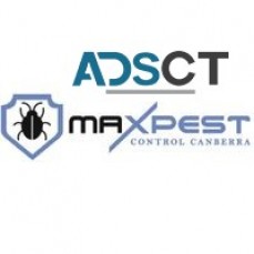 Pest Control Canberra