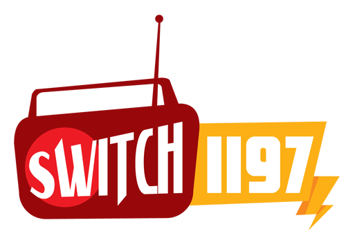 Switch 1197