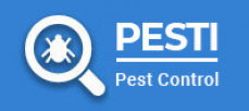 Pesti