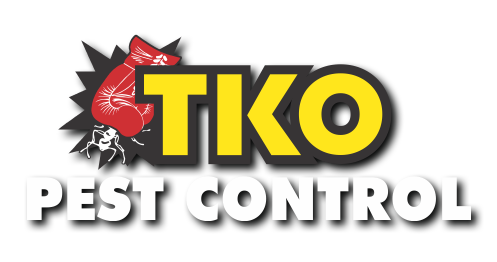 TKO Pest Control & Carpet Cleaning