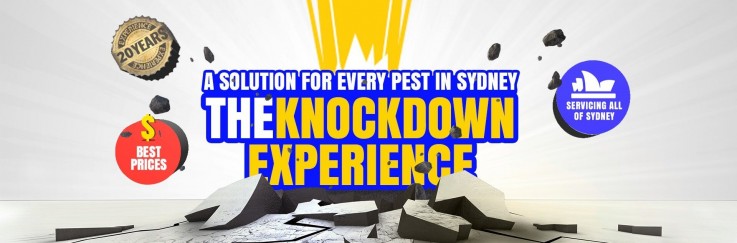 Knock Down Pest Control