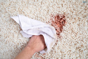 Carpet Cleaning Canberra