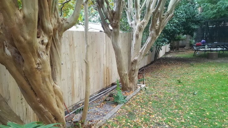 Northern Beaches Fencing