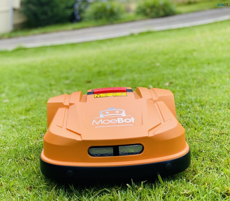 Buy lawn mower online - Always stick to 