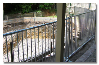 Aus Fence Hire Qld