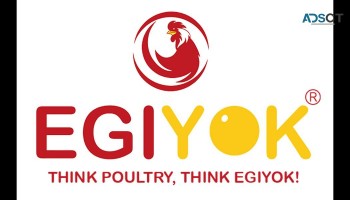 Egiyok