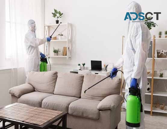 Pest Control Ellenbrook