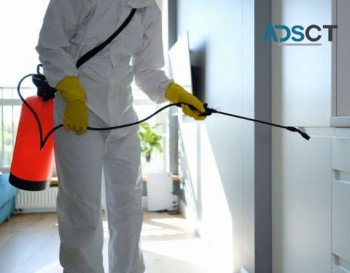 Pest Control Dianella