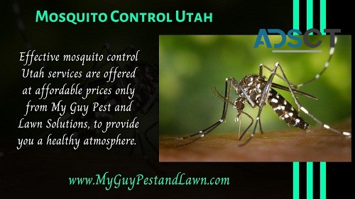 Leading Pest Control Services at Best Ra