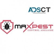 Bed Bug Control Adelaide