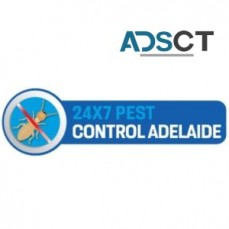 Rodent Control Adelaide