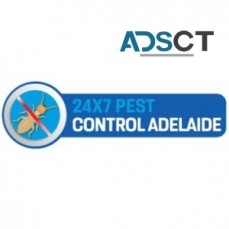 Spider Control Adelaide