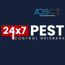 Spider Control Brisbane