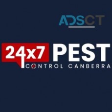 Flea Control Canberra