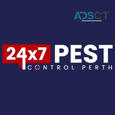 Rodent Control Perth