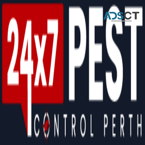 Termite Inspection Perth