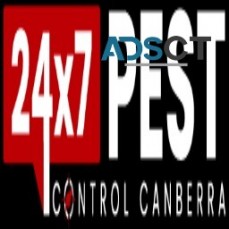 Silverfish Control Canberra