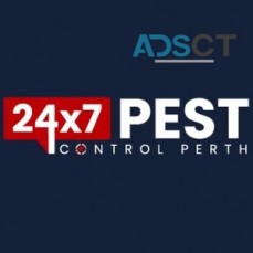 Bed Bug Control Perth