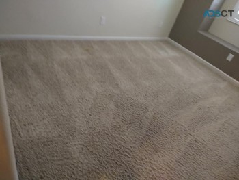 Carpet Cleaning Sydney