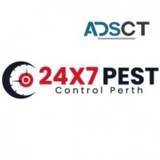 Cockroach Control Perth