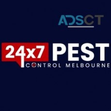 Cockroach Control Melbourne