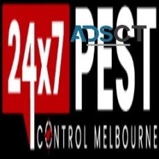 Possum Removal Melbourne