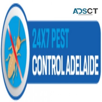 Ant Pest Control Adelaide