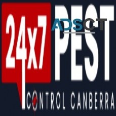 Bed Bug Treatment Canberra