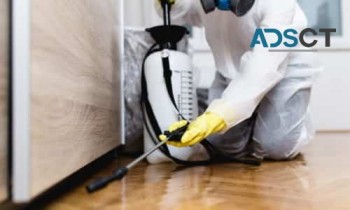 Bed Bug Treatment Canberra