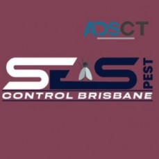 Spider Control Brisbane