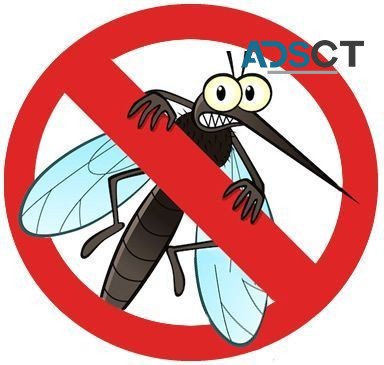 Mosquito Inspection Melbourne