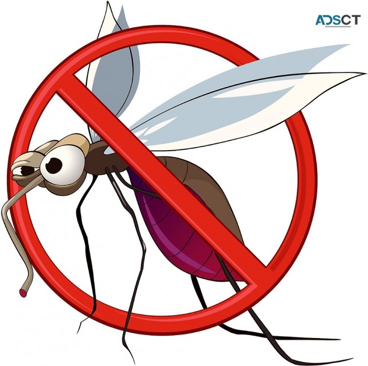 Mosquito Inspection Melbourne