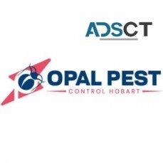 Pest Control Hobart