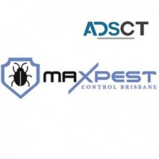 Pest Control Brisbane