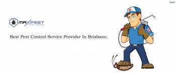 Pest Control Brisbane