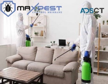 Pest Control Brisbane