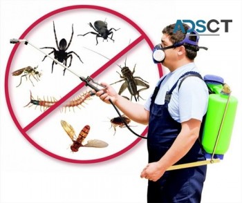 Opal Pest Control Melbourne