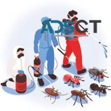 Opal Pest Control Melbourne